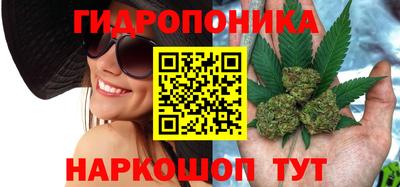 мдпв Пушкино