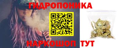мдпв Пушкино