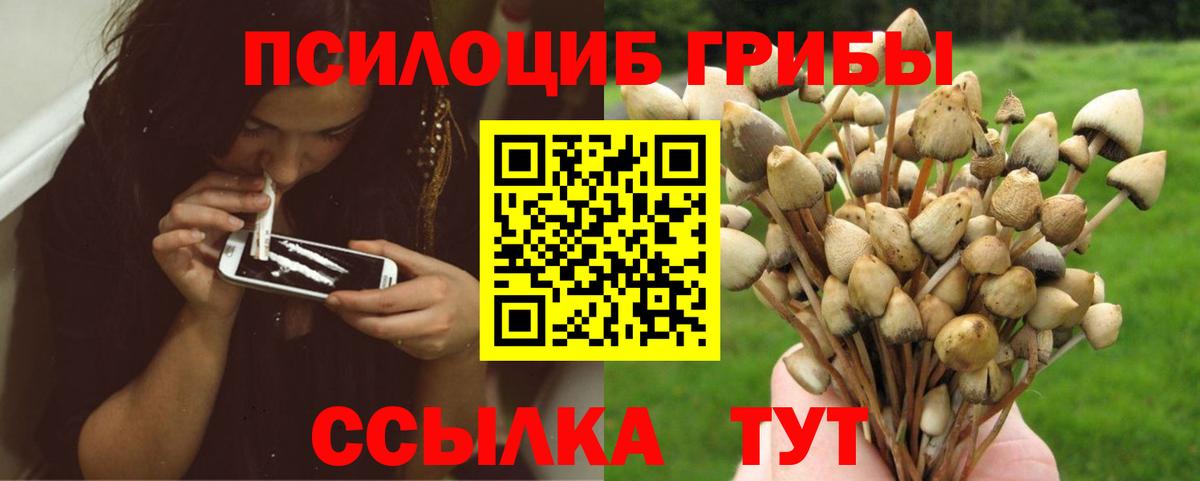 Псилоцибиновые грибы Cubensis Ростов Великий